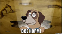  все норм!