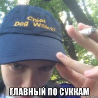  главный по суккам
