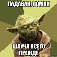 падаван, помни шауча всего прежде