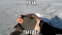 роза ты где?