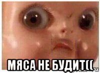  мяса не будит((