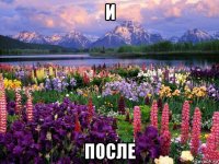 и после