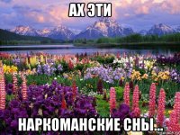 ах эти наркоманские сны...