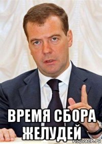  время сбора желудей