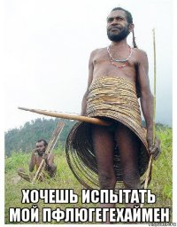  хочешь испытать мой пфлюгегехаймен
