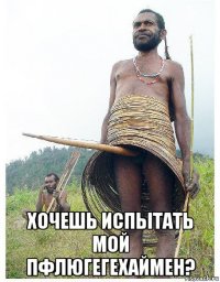  хочешь испытать мой пфлюгегехаймен?