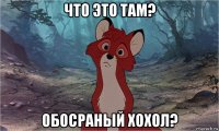 что это там? обосраный хохол?
