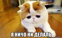  я ничо ни делаль