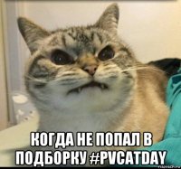  когда не попал в подборку #pvcatday