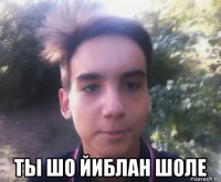  ты шо йиблан шоле