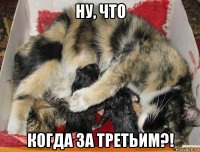 ну, что когда за третьим?!