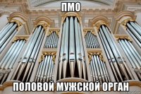 пмо половой мужской орган