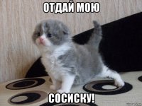 отдай мою сосиску!