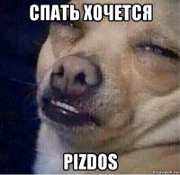 спать хочется pizdos