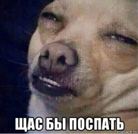  щас бы поспать