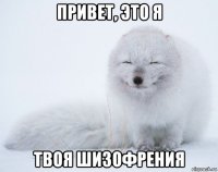 привет, это я твоя шизофрения