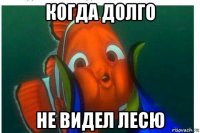 когда долго не видел лесю