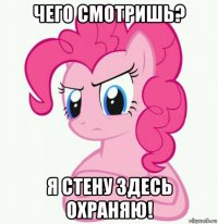 чего смотришь? я стену здесь охраняю!