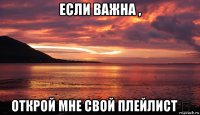 если важна , открой мне свой плейлист ✨