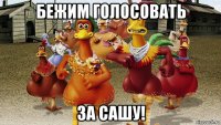 бежим голосовать за сашу!