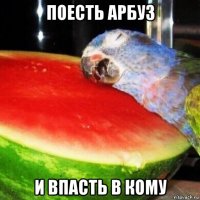 поесть арбуз и впасть в кому