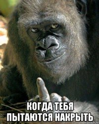  когда тебя пытаются накрыть