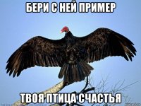 бери с ней пример твоя птица счастья