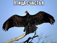 птица счастья 