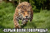  -серый волк говоришь?