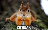  слушаю