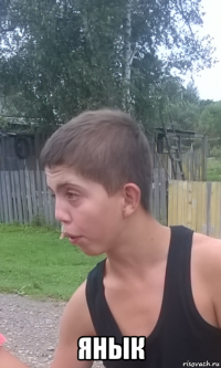  янык
