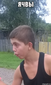 ячвы 