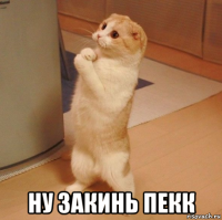  ну закинь пекк