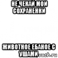 не чекай мои сохраненки животное ебаное с ушами