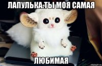 лапулька.ты моя самая любимая