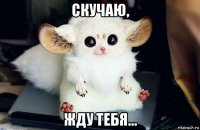 скучаю, жду тебя...