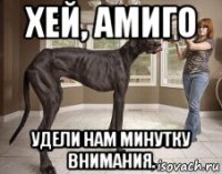 хей, амиго удели нам минутку внимания.