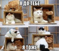 я до тебе я тоже
