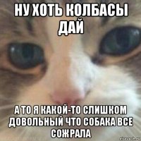 ну хоть колбасы дай а то я какой-то слишком довольный что собака все сожрала