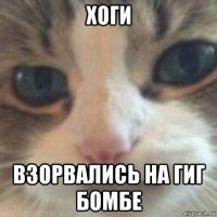хоги взорвались на гиг бомбе