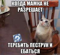когда мамка не разрешает теребить пеструн и ебаться