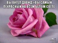 вы ангел давид =вы самый пекрасный на всем белом свете 