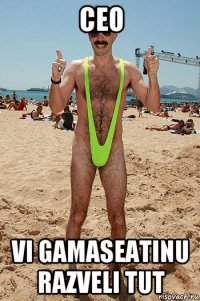 ceo vi gamaseatinu razveli tut