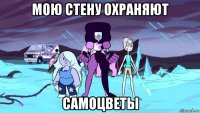 мою стену охраняют самоцветы