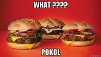 what ???? pokol