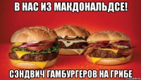 в нас из макдональдсе! сэндвич гамбургеров на грибе