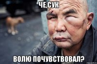 че,сук волю почувствовал?