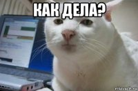 как дела? 