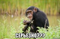  серьезно???
