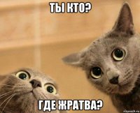 ты кто? где жратва?